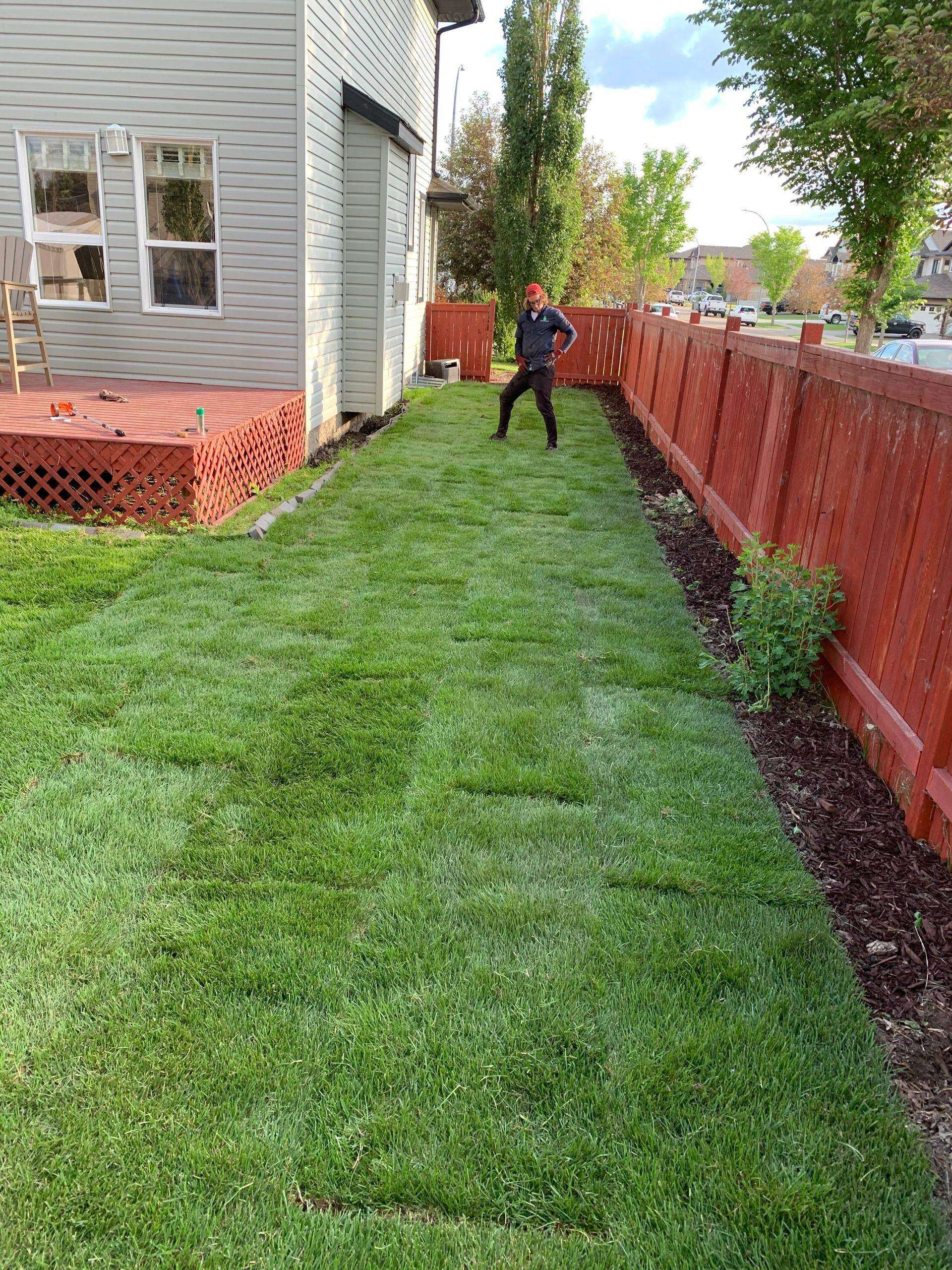 Sod installation after