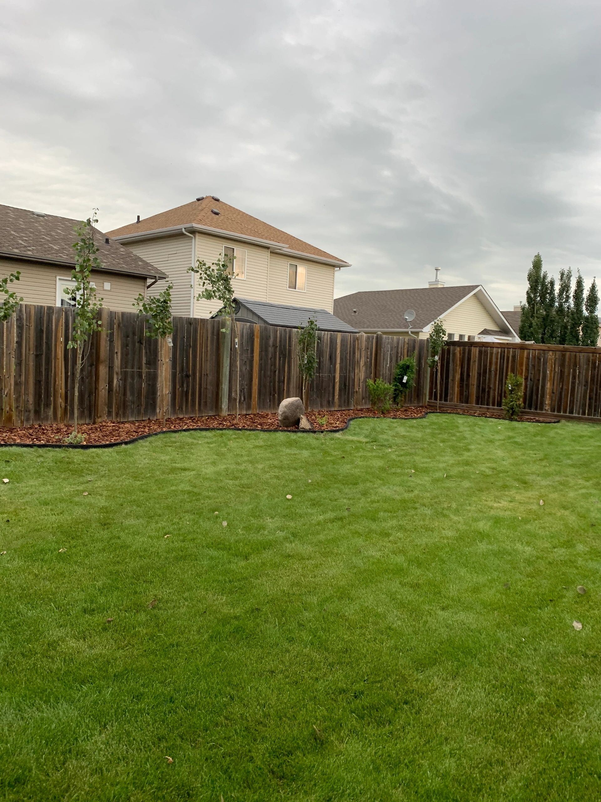 Spring clean up power raking service in St. Albert